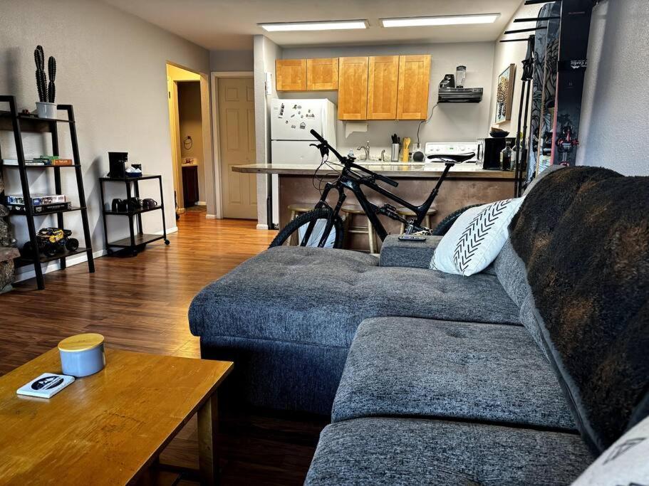 Cozy Condo In Winter Park - On Blue Bus Route - Walk To Downtown, Restaurants, Grocery Zewnętrze zdjęcie